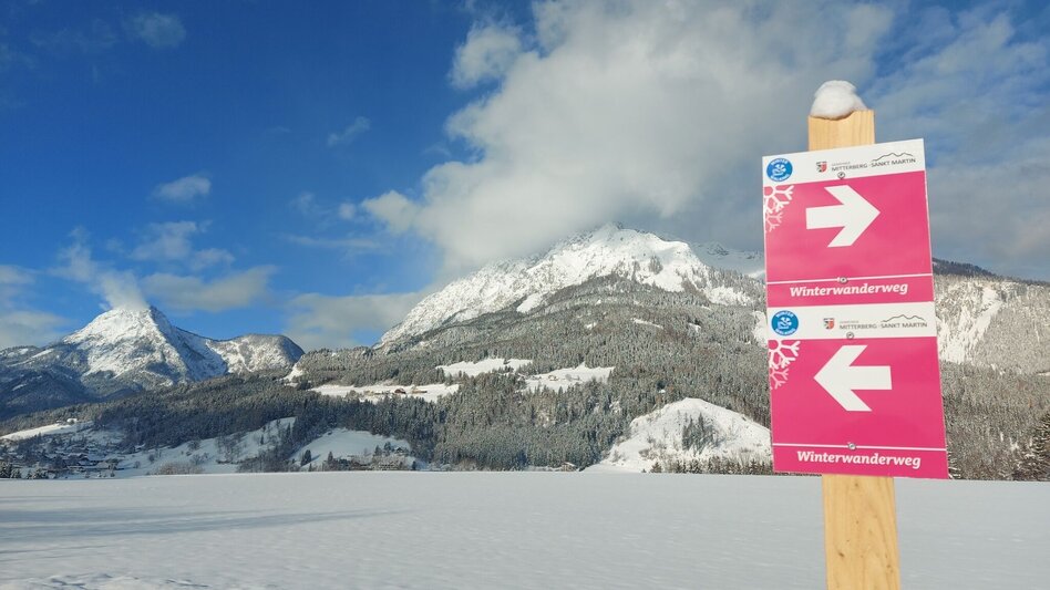 Winterwandern Winterwandern am Mitterberg - Touren-Impression #2.1 | © Erlebnisregion Schladming-Dachstein