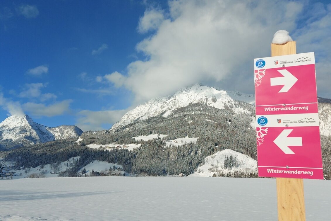 Winterwandern Winterwandern am Mitterberg - Touren-Impression #1 | © Erlebnisregion Schladming-Dachstein