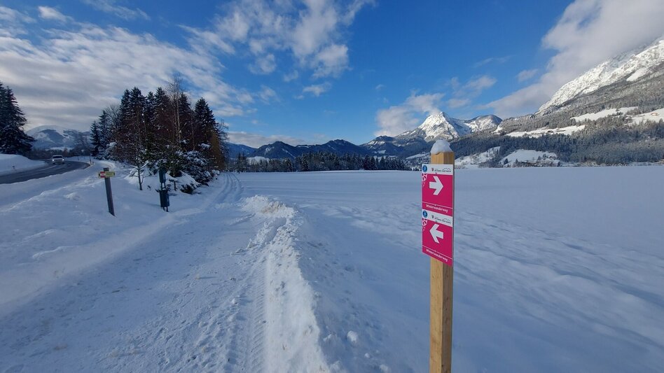 Winterwandern Winterwandern am Mitterberg - Touren-Impression #2.2 | © Erlebnisregion Schladming-Dachstein
