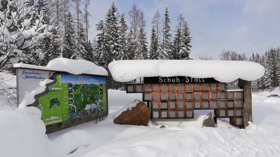 Winter Hiking Winterwandern am Bründlweg - Touren-Impression #2.1 | © TV Hochsteiermark