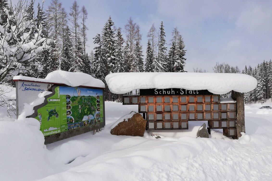 Winter Hiking Winterwandern am Bründlweg - Touren-Impression #1 | © TV Hochsteiermark