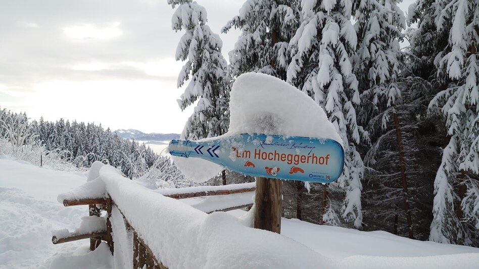 Winter Hiking Winterwandern am Bründlweg - Touren-Impression #2.2 | © TV Hochsteiermark