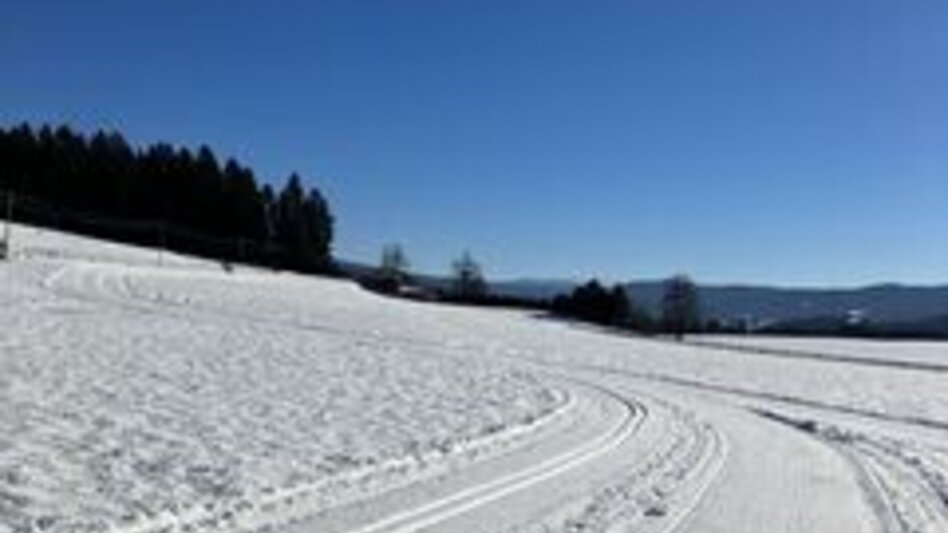 Ski-nordic-classic Mariahof trail - Touren-Impression #2.2 | © Tourismusverband Murau