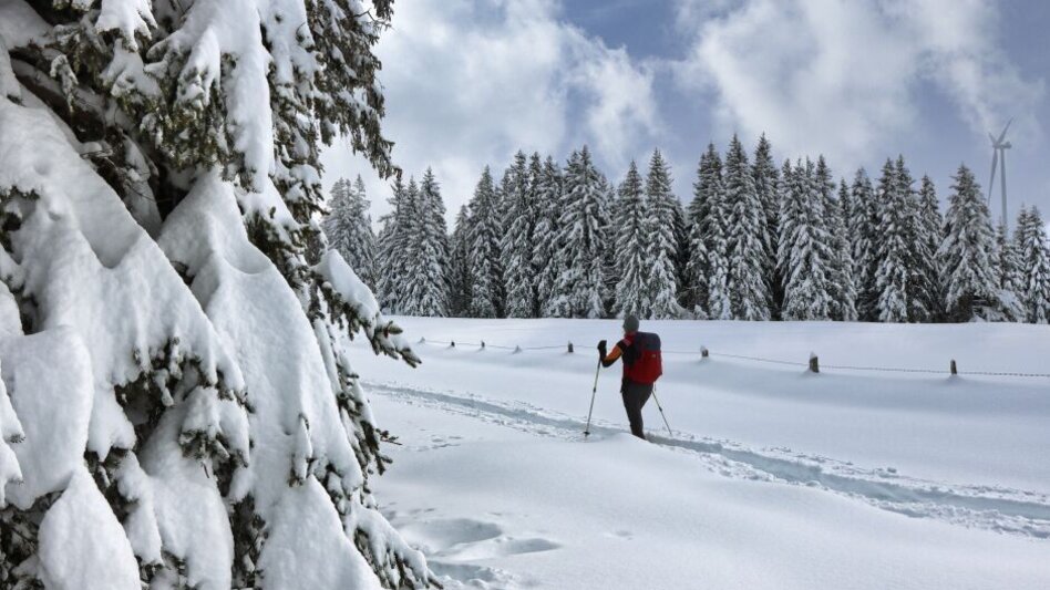 Schneeschuh Schneeschuhwanderung Freiländeralm - Touren-Impression #2.1 | © Weges OG
