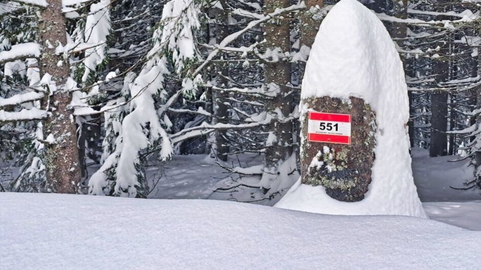 Schneeschuh Schneeschuhwanderung Freiländeralm - Touren-Impression #2.3 | © TVB Südsteiermark/Weges OG