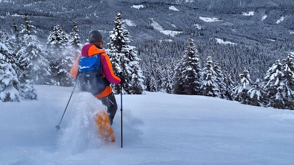 Snowshoe walking Loskogel, 1.790 m - Touren-Impression #2.1 | © Weges OG
