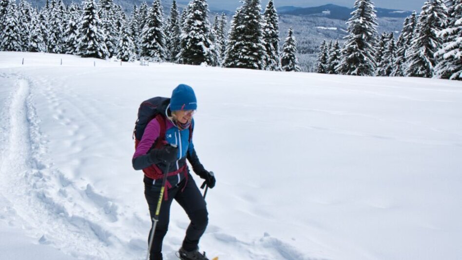 Snowshoe walking Loskogel, 1.790 m - Touren-Impression #2.3 | © Weges OG