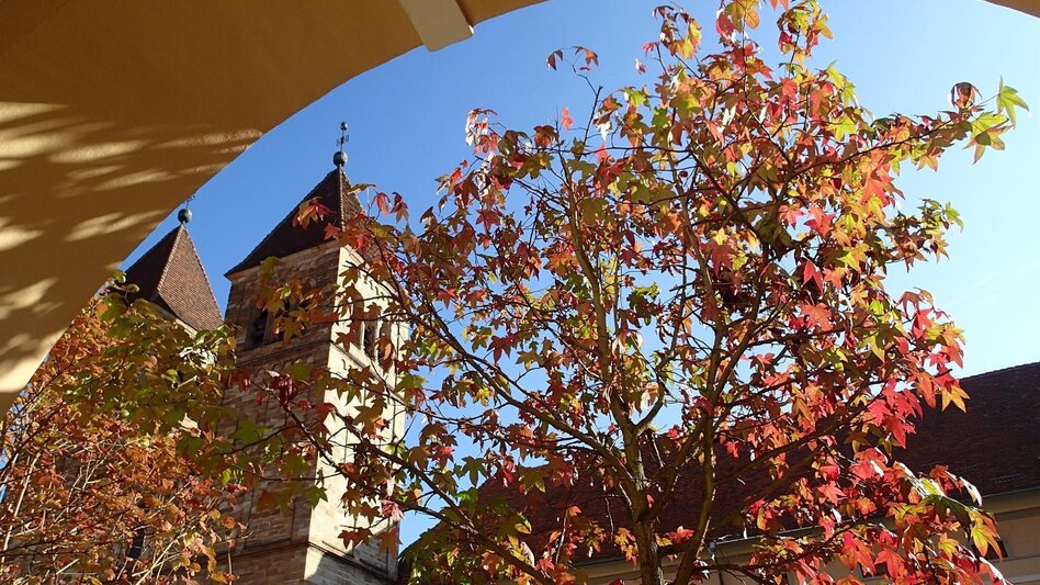 Bike Riding Seckauer Alpenradweg R24 - Touren-Impression #2.6 | © Abtei Seckau
