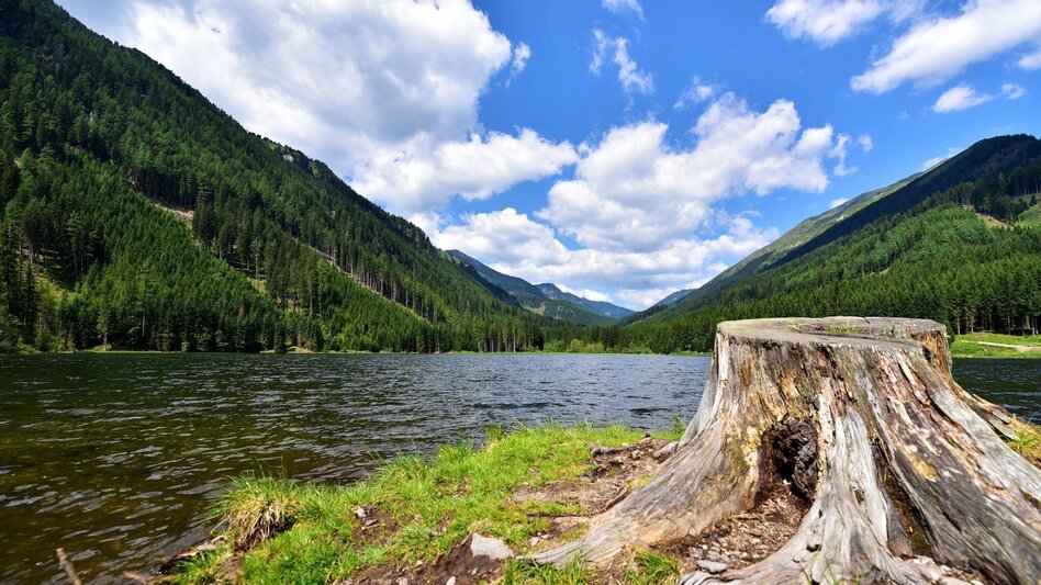 Bike Riding Seckauer Alpenradweg R24 - Touren-Impression #2.13 | © Erlebnisregion Murtal