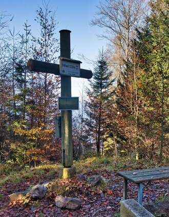 IMG_2638.jpg | Weges OG | © Weges OG