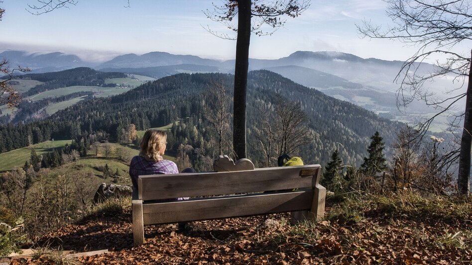 Wanderung Grazer Bergland Wanderweg von Peggau nach Frohnleiten - Touren-Impression #2.2 | © Weges OG