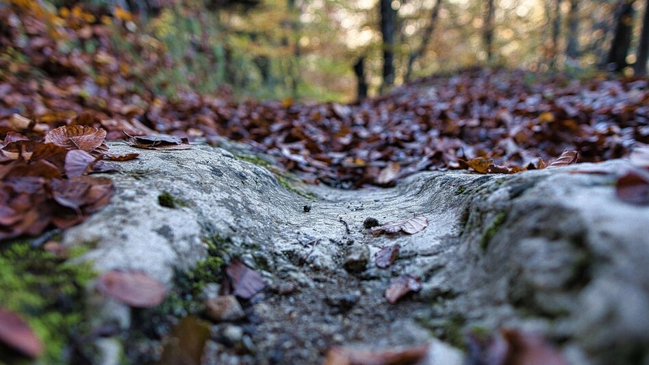 Wanderung Grazer Bergland Wanderweg von Peggau nach Frohnleiten - Touren-Impression #2.3 | © Weges OG