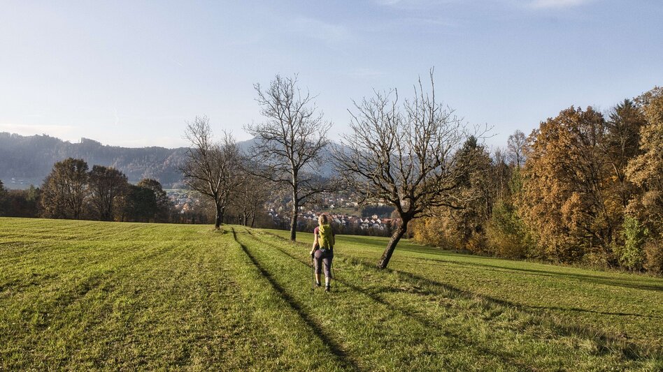 Wanderung Grazer Bergland Wanderweg von Peggau nach Frohnleiten - Touren-Impression #2.6 | © Weges OG