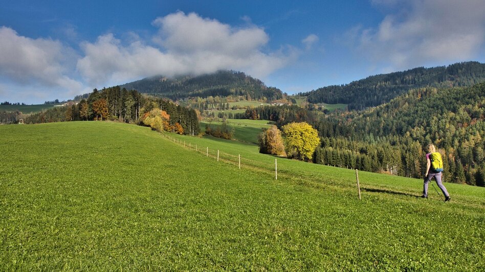 Wanderung Grazer Bergland Wanderweg von Peggau nach Frohnleiten - Touren-Impression #2.8 | © Weges OG