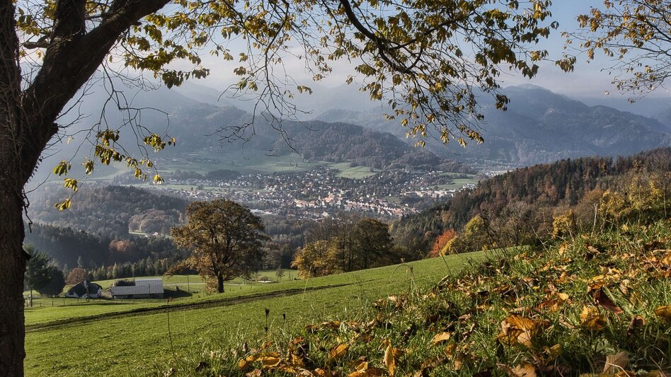Wanderung Grazer Bergland Wanderweg von Peggau nach Frohnleiten - Touren-Impression #2.10 | © Weges OG