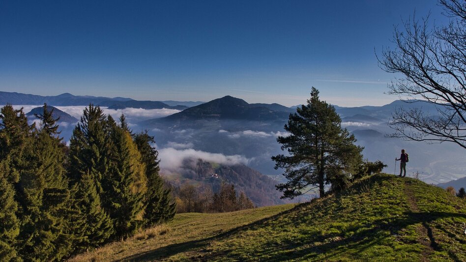 Wanderung Grazer Bergland Wanderweg von Frohnleiten nach Übelbach - Touren-Impression #2.1 | © Weges OG