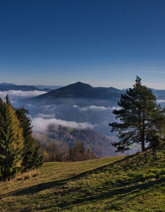 Aussichtsplatz Haneggkogel | Weges OG | © Weges OG