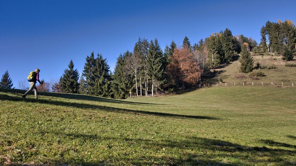 Wanderung Grazer Bergland Wanderweg von Frohnleiten nach Übelbach - Touren-Impression #2.9 | © Weges OG