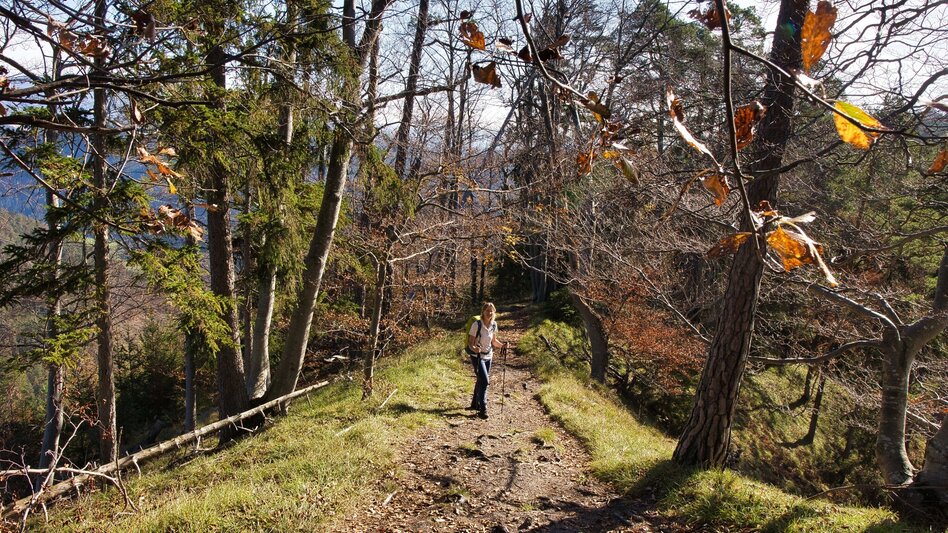 Wanderung Grazer Bergland Wanderweg von Stübing nach Gratwein - Touren-Impression #2.2 | © Weges OG