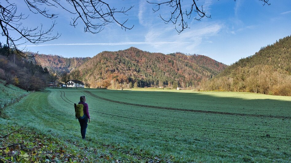 Wanderung Grazer Bergland Wanderweg von Stübing nach Gratwein - Touren-Impression #2.8 | © Weges OG