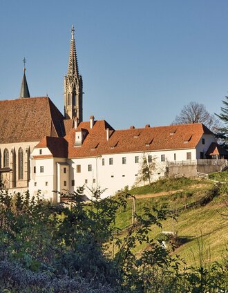 IMG_3280.jpg | Weges OG | © Weges OG