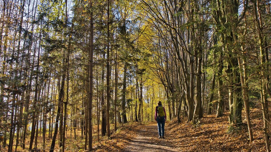 Hiking route 5 Grazer Bergland Wanderweg Gratwein - Judendorf-Straßengel - Touren-Impression #2.2 | © Weges OG