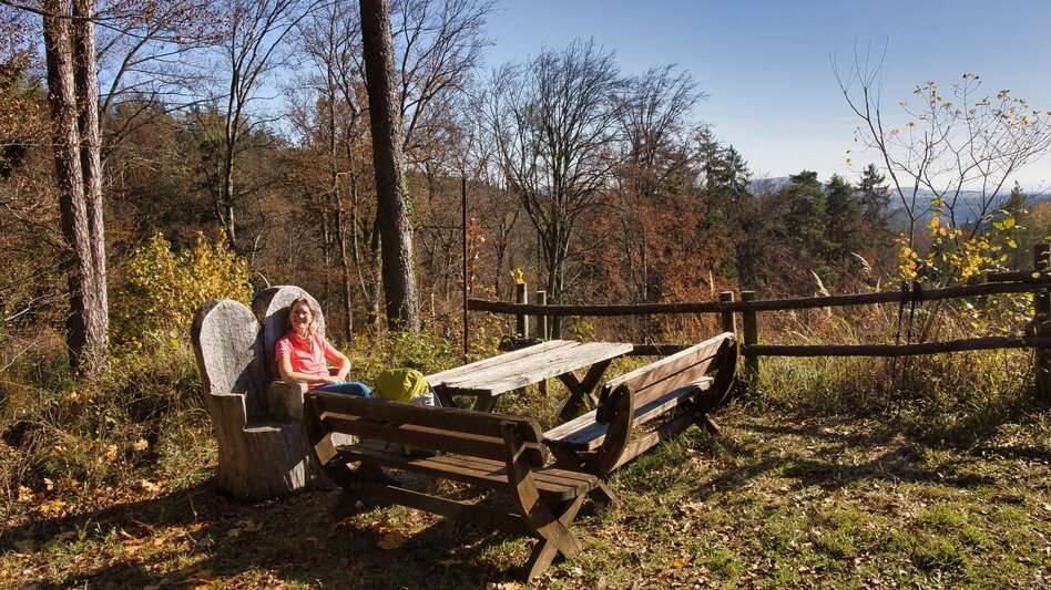 Hiking route 5 Grazer Bergland Wanderweg Gratwein - Judendorf-Straßengel - Touren-Impression #2.7 | © Weges OG