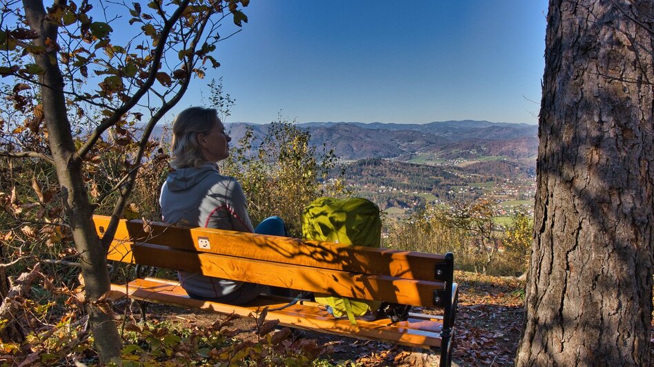 Hiking route 5 Grazer Bergland Wanderweg Gratwein - Judendorf-Straßengel - Touren-Impression #2.8 | © Weges OG