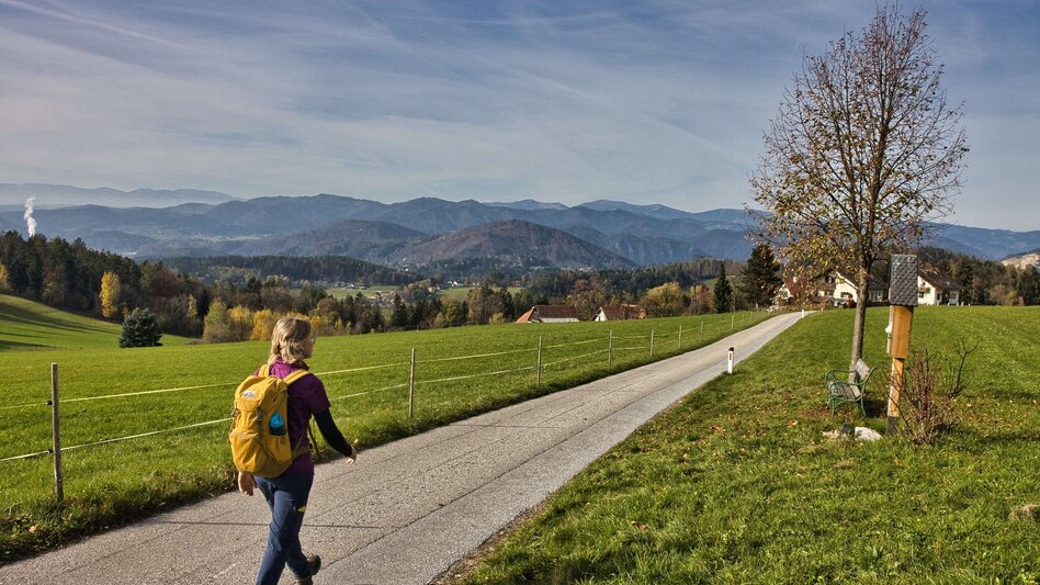 Hiking route 6 Grazer Bergland Wanderweg Judendorf-Straßengel - Stübing - Touren-Impression #2.2 | © Weges OG