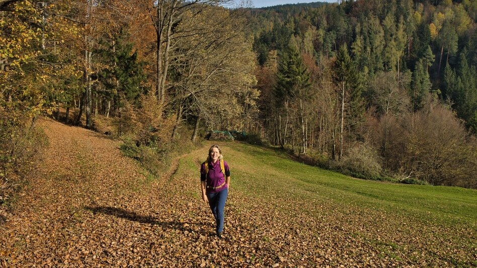 Hiking route 6 Grazer Bergland Wanderweg Judendorf-Straßengel - Stübing - Touren-Impression #2.5 | © Weges OG