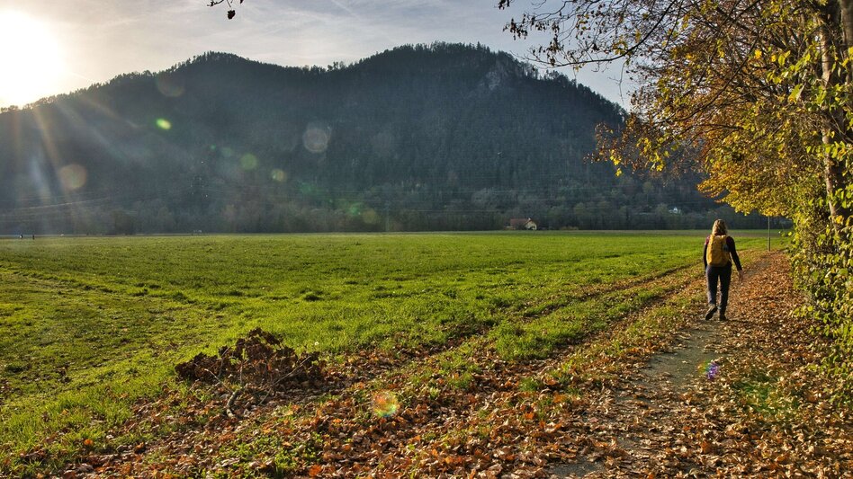 Hiking route 6 Grazer Bergland Wanderweg Judendorf-Straßengel - Stübing - Touren-Impression #2.6 | © Weges OG