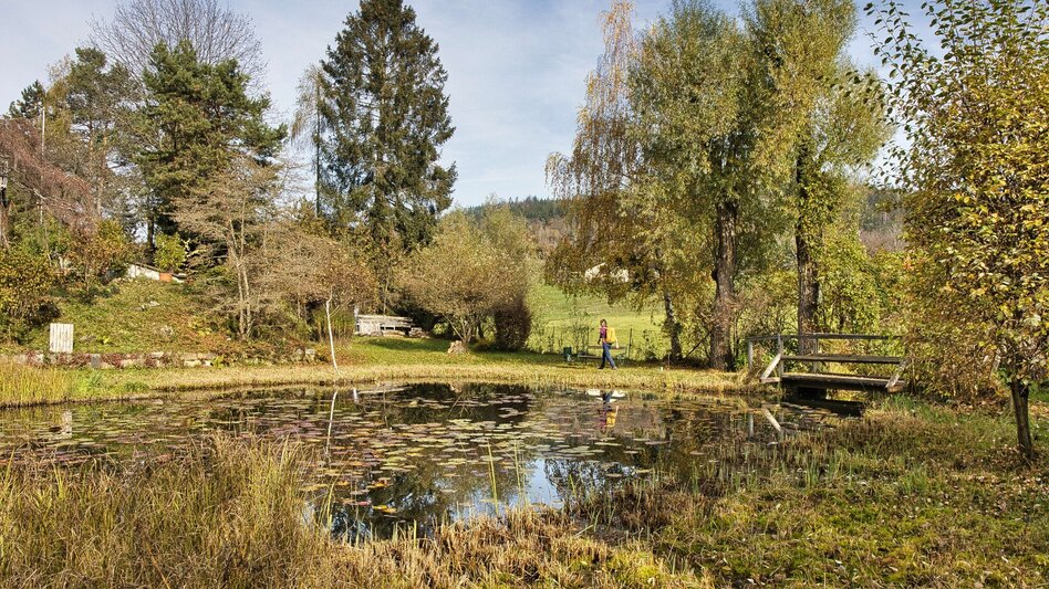 Hiking route 6 Grazer Bergland Wanderweg Judendorf-Straßengel - Stübing - Touren-Impression #2.10 | © Weges OG