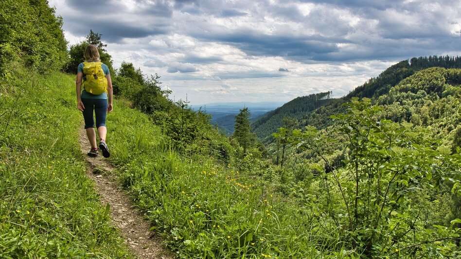 Wanderung Mühlbacherhütte - Kaschlsteig - Touren-Impression #2.1 | © Weges OG