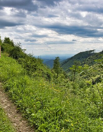 IMG_4775.jpg | Weges OG | © Weges OG