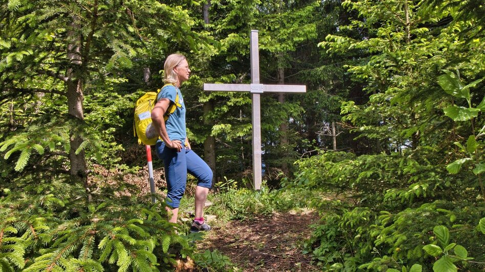 Wanderung Mühlbacherhütte - Kaschlsteig - Touren-Impression #2.4 | © Weges OG