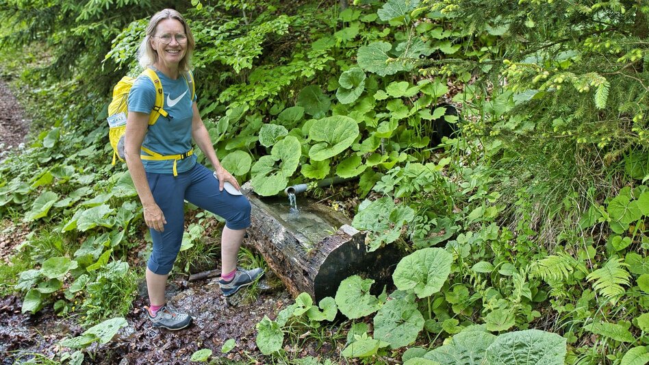 Wanderung Mühlbacherhütte - Kaschlsteig - Touren-Impression #2.7 | © Weges OG