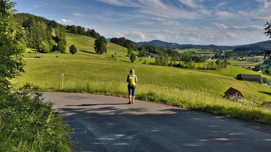 Wanderung Mühlbacherhütte - Kaschlsteig - Touren-Impression #2.8 | © Weges OG
