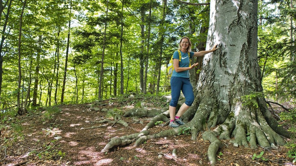 Wanderung Mühlbacherhütte - Kaschlsteig - Touren-Impression #2.9 | © Weges OG
