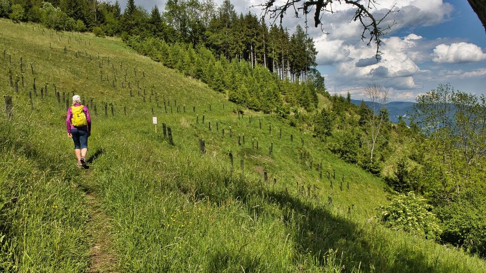 Wanderung Mühlbacherhütte - Kaschlsteig - Touren-Impression #2.11 | © Weges OG