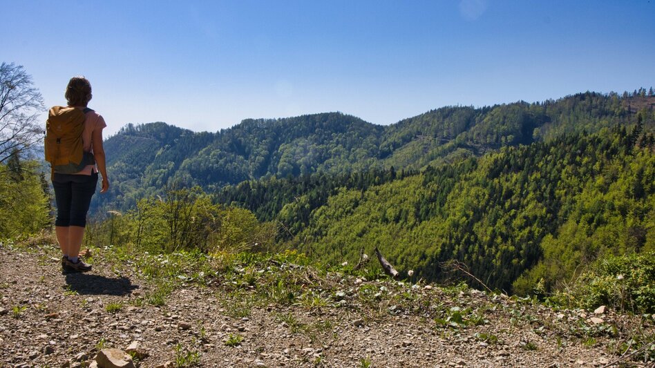 Hiking route Rein - Plesch - Kogelleitenweg / Planung - Touren-Impression #2.2 | © Weges OG
