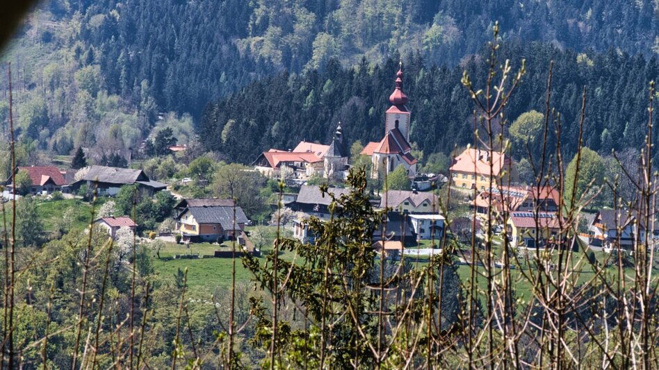 Hiking route Rein - Plesch - Kogelleitenweg / Planung - Touren-Impression #2.3 | © Weges OG