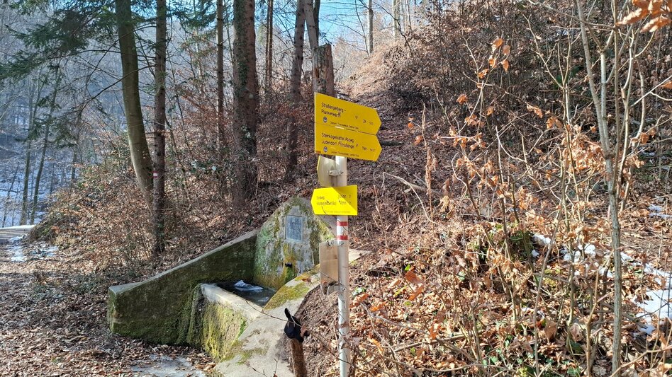 Wanderung Von Graz Gösting nach Gratwein-Straßengel - Touren-Impression #2.4