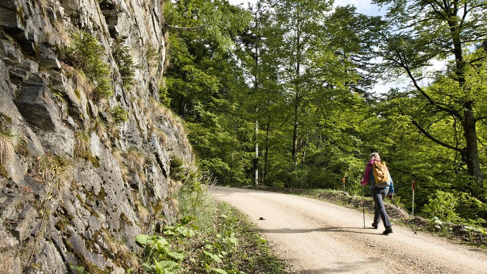 Hiking route Gamsgraben - Almwirt - Hochalm - Touren-Impression #2.2