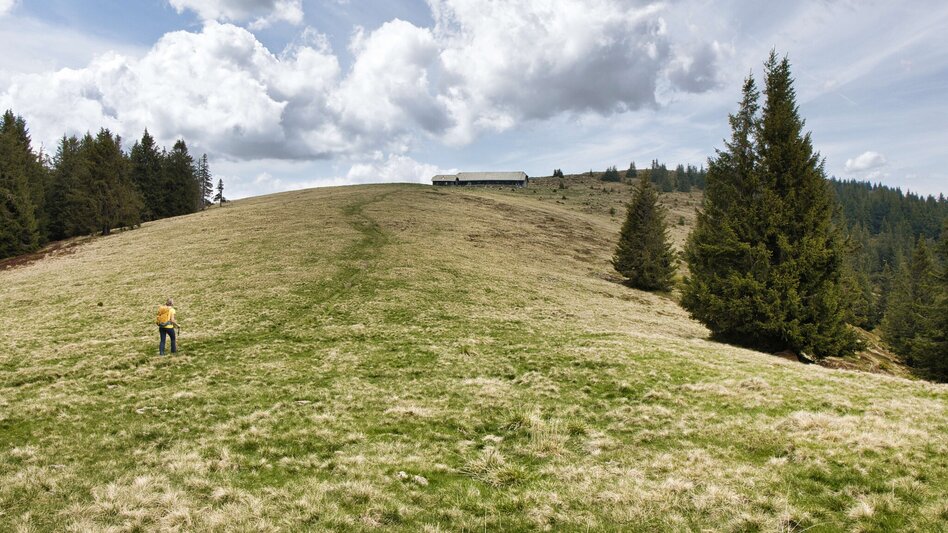 Hiking route Gamsgraben - Almwirt - Hochalm - Touren-Impression #2.4