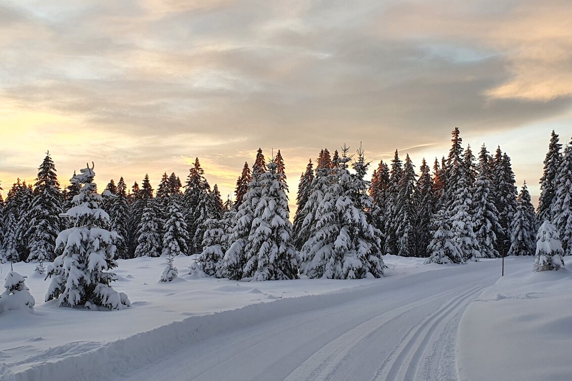 Langlauf Skating Kluglift Runde - Touren-Impression #1