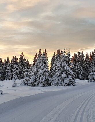 05 Kluglift Runde (c) Langlaufzentrum.jpg
