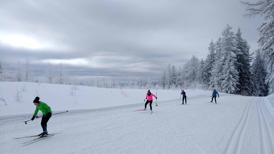 Langlauf Skating Kluglift Runde - Touren-Impression #2.2