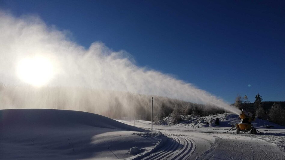 Langlauf Skating Seerunde und Grenzloipe - Touren-Impression #2.1
