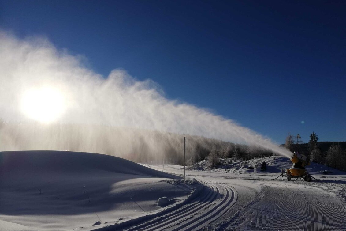 Langlauf Skating Seerunde und Grenzloipe - Touren-Impression #1