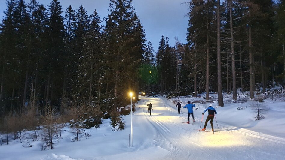 Langlauf Skating Seerunde und Grenzloipe - Touren-Impression #2.2